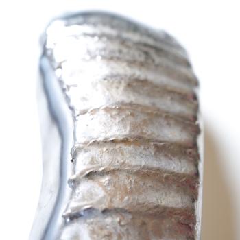 Preview: SCORPIO Schleifschuh T
